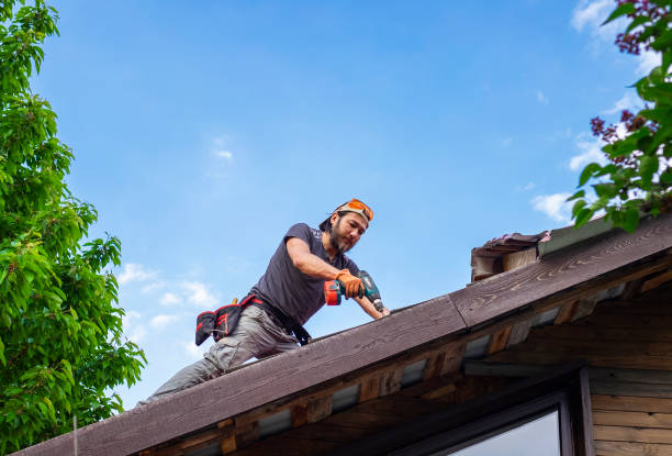 Reliable Laguna Beach, FL Roofing services Solutions